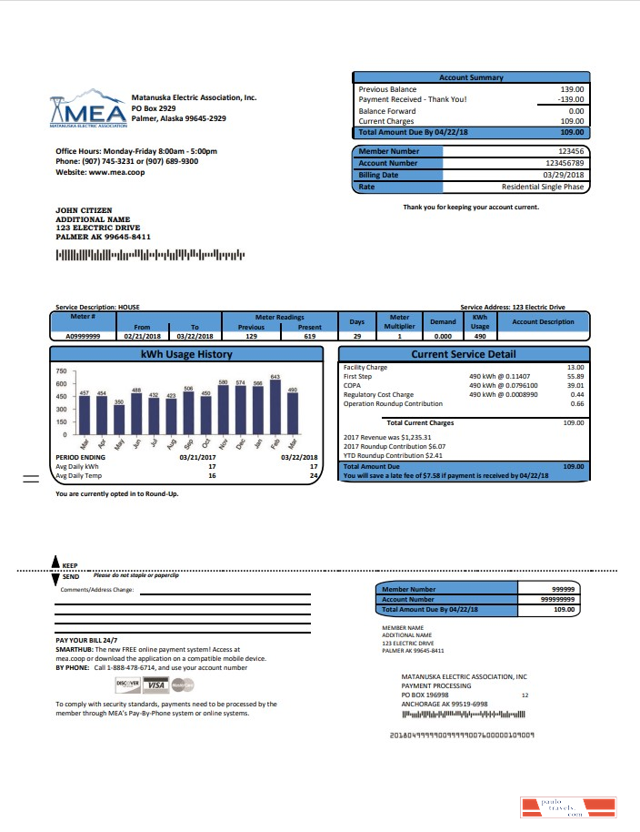 USA MEA Alaska electricity utility bill template in Word and PDF format